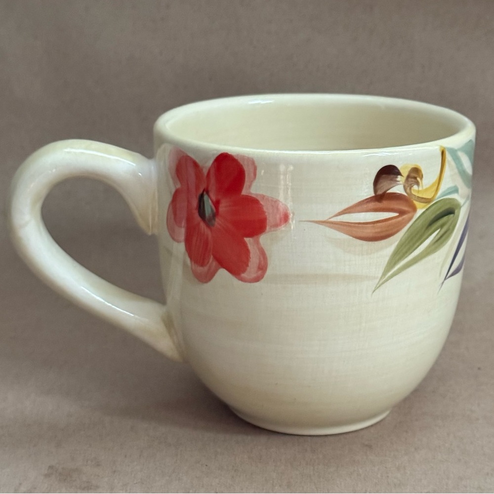 Pier 1 Laurina Durastone Coffee Mug.